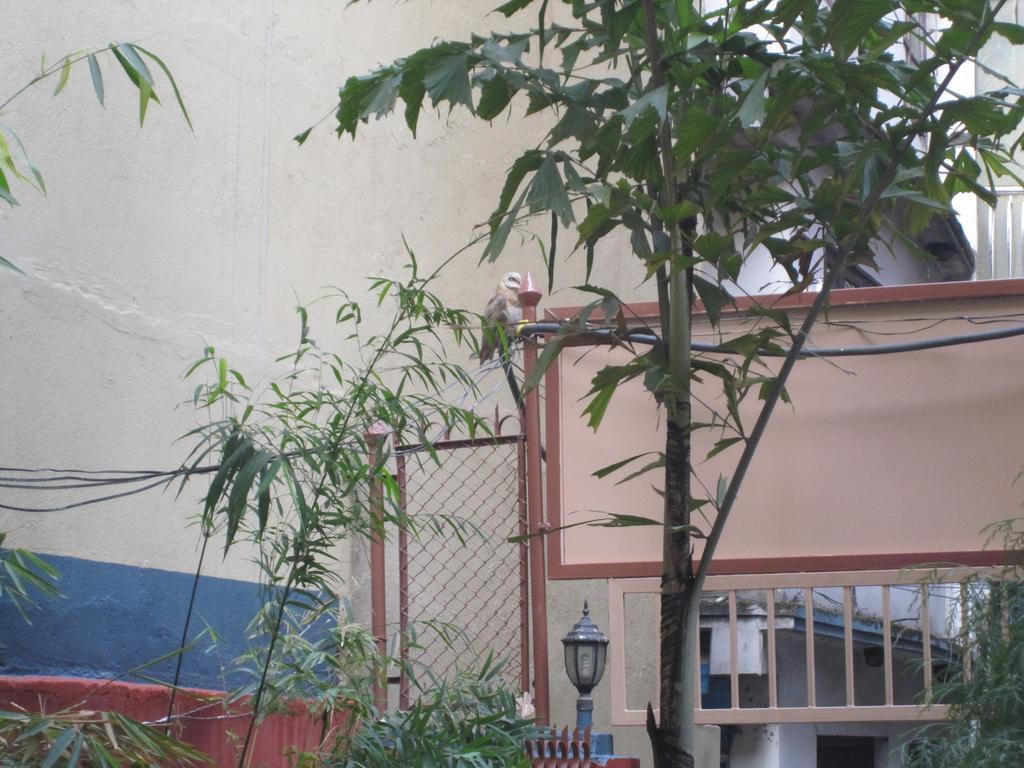 Tasi Dhargey Inn كاتماندو المظهر الخارجي الصورة
